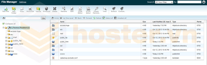 Giao diện trang file manager cPanel, hosting hải phòng, website hải phòng